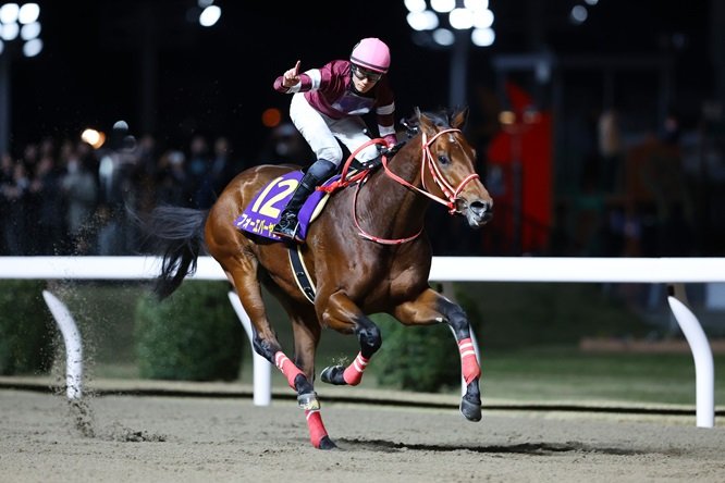 🏇 가와사키 경마장 (카와사키 케이바조) 이미지 10